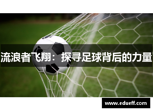 流浪者飞翔：探寻足球背后的力量